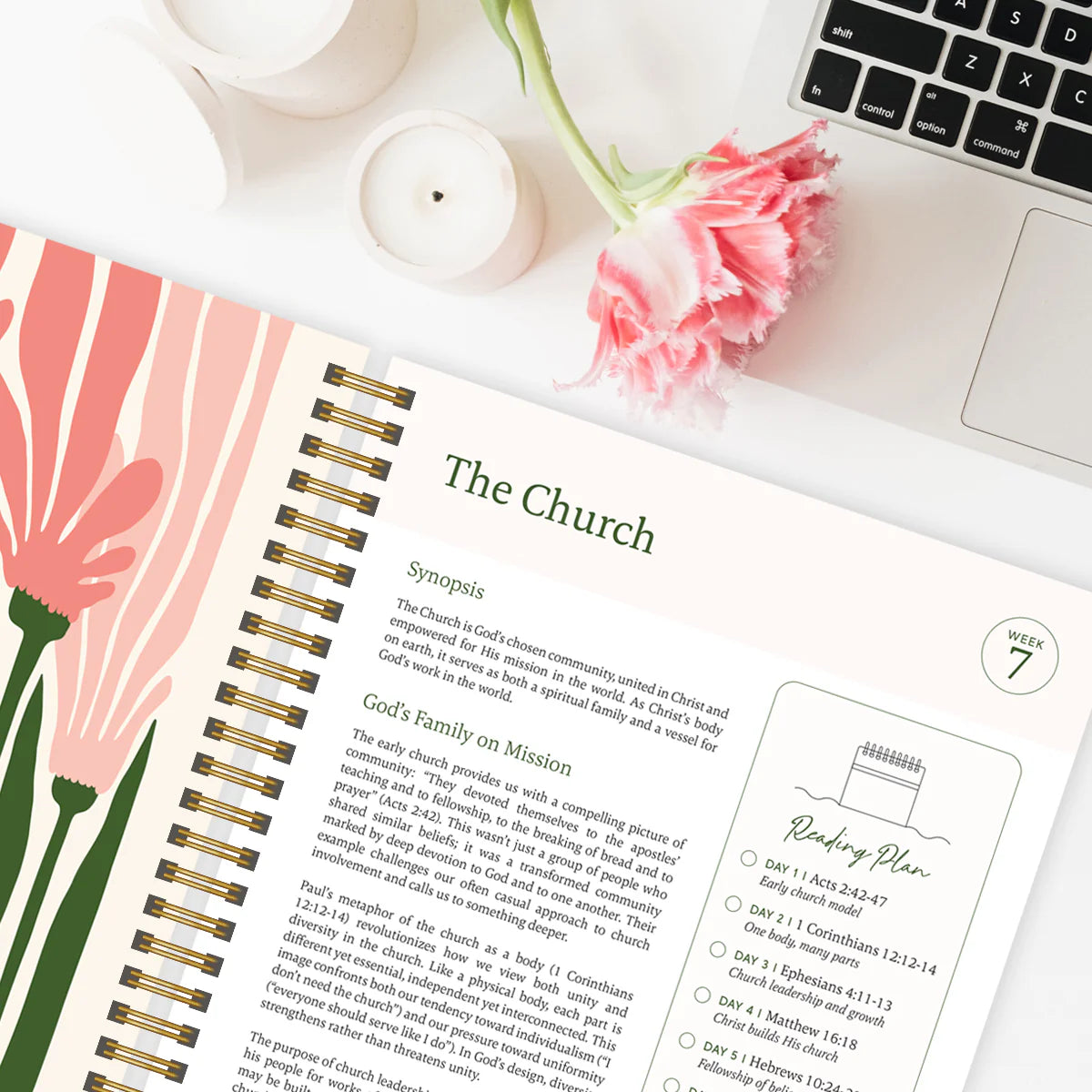 Essential Prime BibleGuide™ 52 Week Study Journal & Devotional