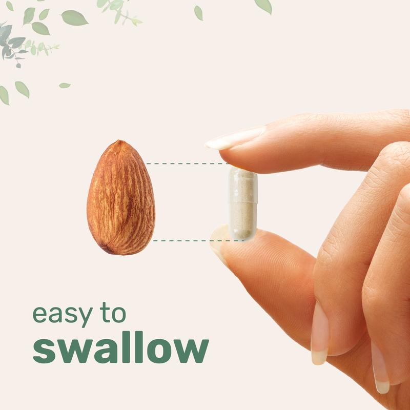 Multi-Collagen Complex Supplement | #1 Selling Collagen Capsule Supplement | Supports Hair, Skin, Nails, & Joints